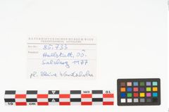Foto von Keramikgefäß (NHMW-PRAE-085733)